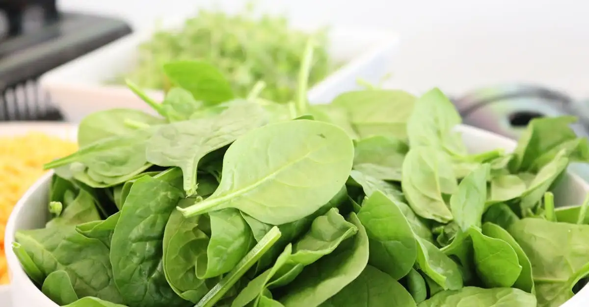 Vitaminer i grøntsager: Få de vigtigste næringsstoffer