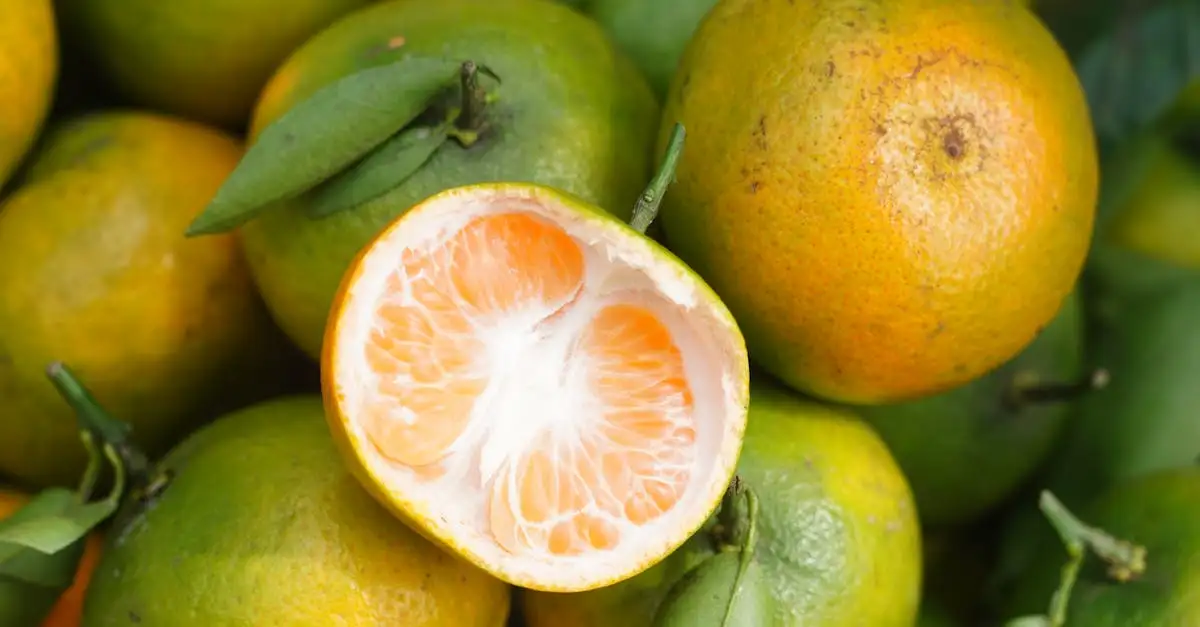 Frugt med mest C-vitamin: Find de bedste kilder i dag